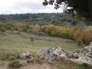 Plot at Agiasmatsi 145.000 m2