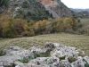 Plot at Agiasmatsi 145.000 m2 image 3