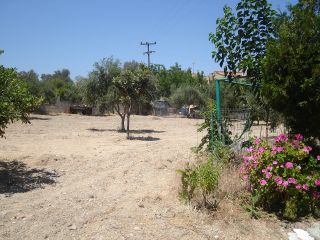 Plot for land granting at Adele