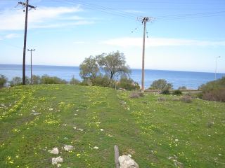 Plot at Prinos 9.500 sq. m. sea front