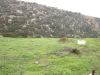 Plot at Prinos 9.500 sq. m. sea front image 2
