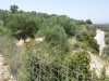 Plot at Kirianna 5.300 m2 image 3