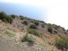 -Big, remote, idyllicly located plot in Kavousi, Arkadi, Rethymnon image 3