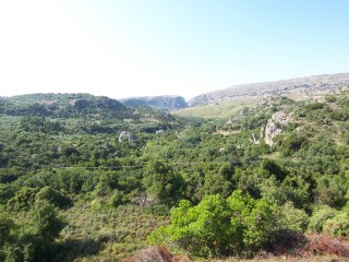 Plot at Agios Konstantinos 25.700 m2