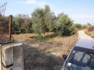 Plot at Pigi 1480 m2