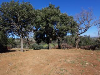 Plot at Kavousi of 6000 m2
