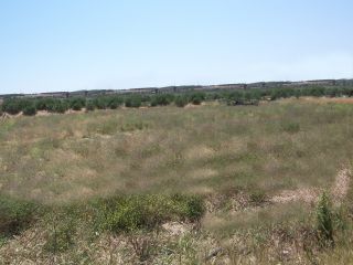 Plot of 49.500 m2 in the northern area Heraklion