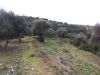 Plot at Xiro Horio 29600 m2 image 2