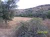 -Plots and houses for renovation at Kare image 2