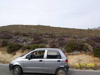 -Plot in Nippos with ruins and garden 275.19 sqm