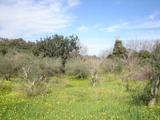 -Playground with residence in Georgioupoli