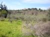 -Playground with residence in Georgioupoli image 2
