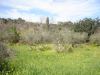 -Playground with residence in Georgioupoli image 3