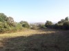 -Hotel in Georgioupoli 50 m from the beach image 1