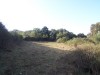 -Hotel in Georgioupoli 50 m from the beach image 3