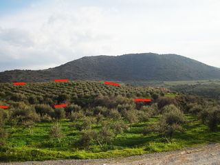 Plot 11.510 m2 at Ahlades
