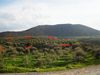 Plot 11.510 m2 at Ahlades image 1
