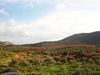 Plot 11.510 m2 at Ahlades image 2