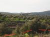 Plot 11.510 m2 at Ahlades image 3