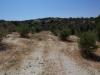 Sea view plot at Adele of 4.300 m2 image 3