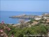 Sea front Plot of 100.000 m2 at Bali image 4