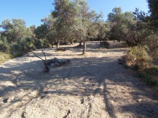 Sea view Plot 7.050 m2 at Gianoudi