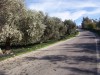 Plot 1750 m2, sea view at Erfi image 1