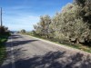 Plot 1750 m2, sea view at Erfi image 2