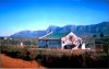 Villa 2BR, garden, at Messinia for rent image 1