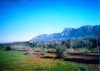 Villa 2BR, garden, at Messinia for rent image 5
