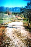 Villa 2BR, garden, at Messinia for rent image 7