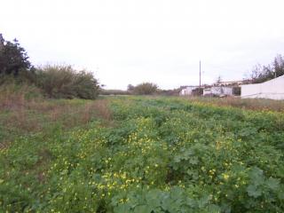 Plot 973 m2 at Platanias Rethymnon