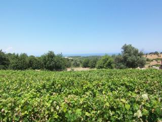 Plot, sea view, 1.300 m2 in Skouloufia