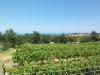 Plot, sea view, 1.300 m2 in Skouloufia image 2