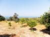 Plots 1.000m2, sea view at Kyrianna image 1