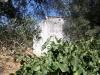 Reduced price!! Plot at Prines 200m2 image 3