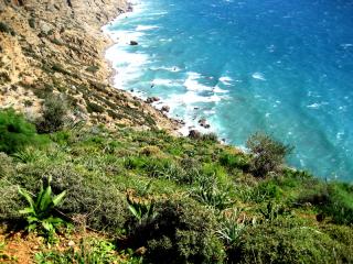Sea front plot 41.000 m2 at Agia Galini