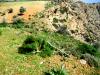 Sea front plot 41.000 m2 at Agia Galini image 2