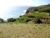Sea front plot 41.000 m2 at Agia Galini image 3