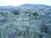 Plot 20.000 m2 at Agios Vasilios image 2