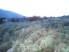 Plot 20.000 m2 at Agios Vasilios image 3