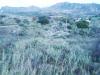Plot 20.000 m2 at Agios Vasilios image 4