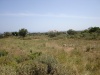2 Plots at Rusospiti 10,000 m2 image 1