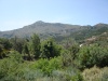 2 Plots at Rusospiti 10,000 m2 image 2