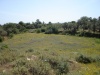 2 Plots at Rusospiti 10,000 m2 image 3