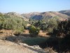 Traditional house 117 m2 in 1000 m2 plot at Ano Valsamonero image 3