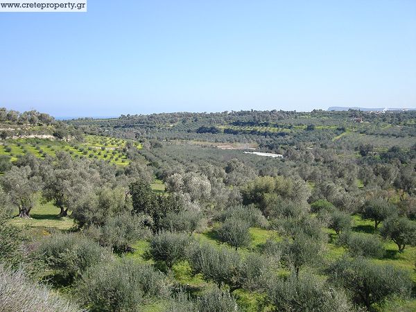 "Pigi" image "1"