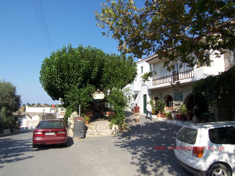 "Kournas" image "3"