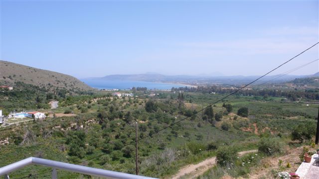 "Exopoli" image "1"