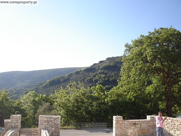 "Lampini" image "1"